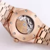 15413OR.YY.1220OR.01[9501]