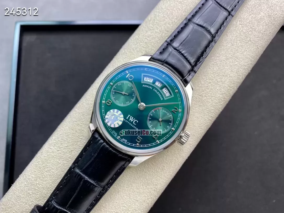 IWCIW503510[4]
