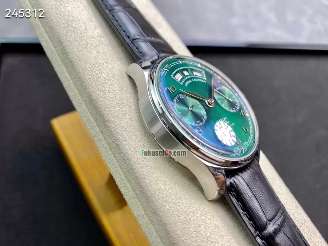 IWCIW503510[5]