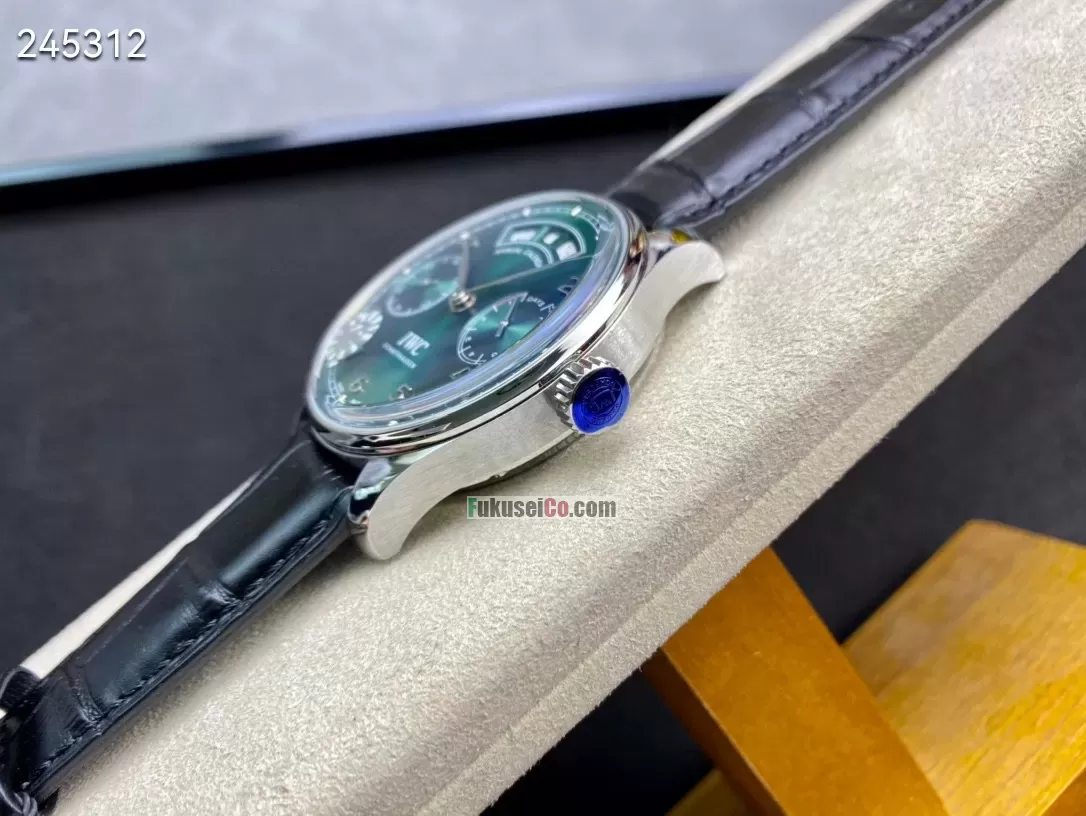 IWCIW503510[6]